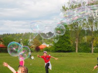 /album/a131/p1010196-small-jpg2/